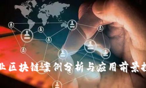 产业区块链案例分析与应用前景探讨
